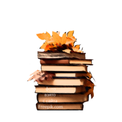 Изображение к статье