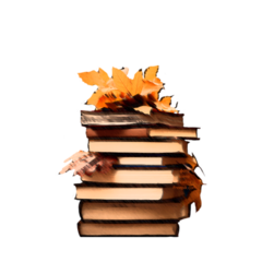 Изображение к статье