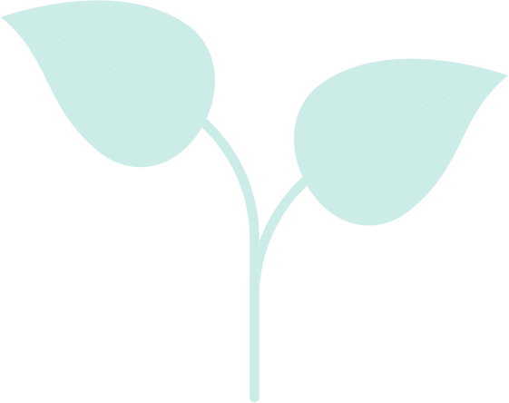 Основное изображение статьи