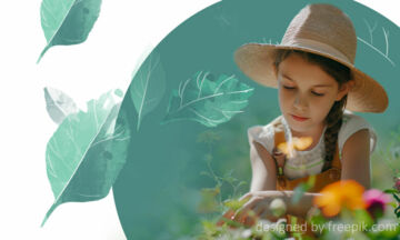 Изображение к статье